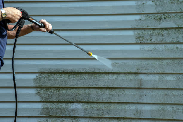 Best Gutter Cleaning  in Samson, AL